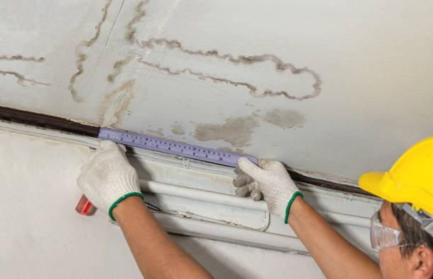 Reliable Sewage Cleanup contractor in Blackstone, VA by Water Damage Irwin